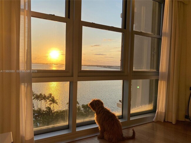 Building Photo - 2451 Brickell Ave