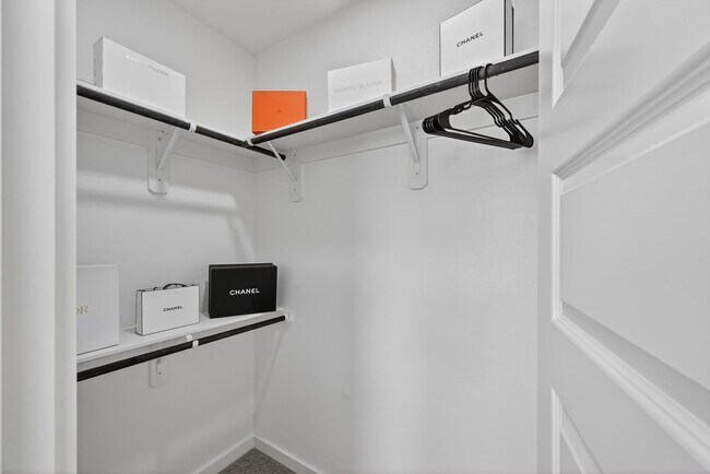 Building Photo - 2909 El Fenice Ln