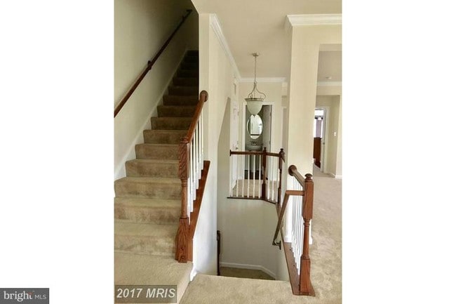 Building Photo - 21616 Romans Dr