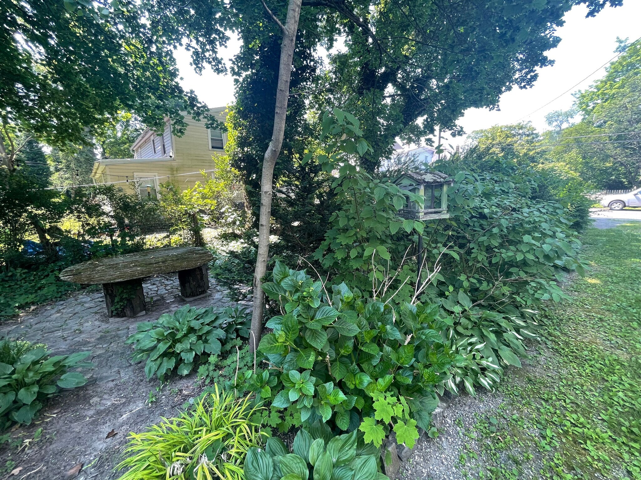 Side Garden - 210 Mannion Ave