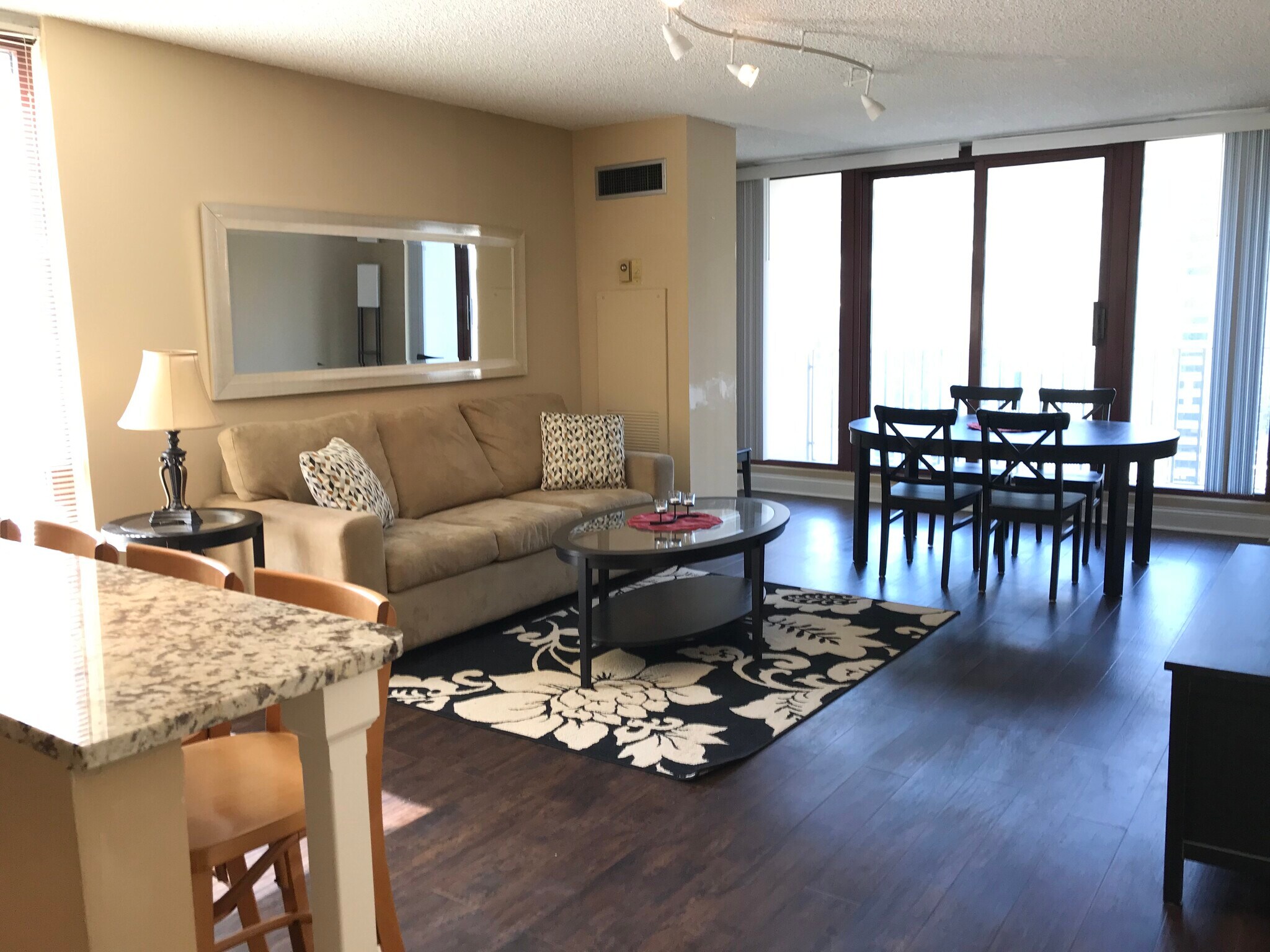 Living Room - 200 N Dearborn St