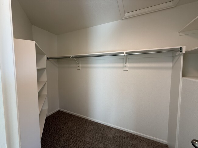 Master bedroom walk-in closet - 8690 Ethan Aly