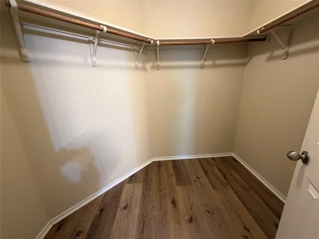 Building Photo - 1154 Sophia St W