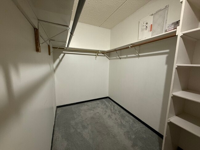 Building Photo - 259 Stoneybrook Ln