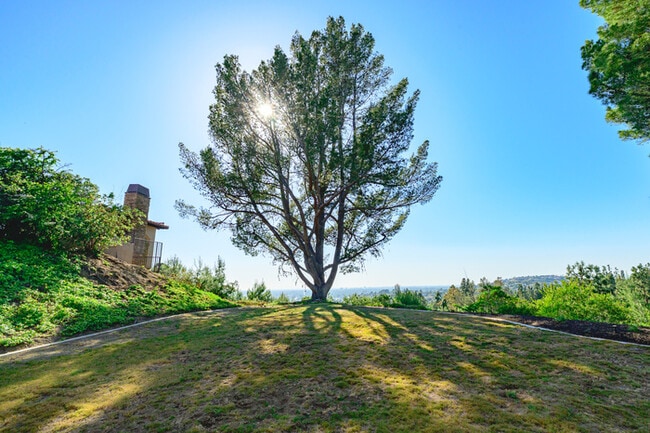 Building Photo - 10961 Limetree Dr