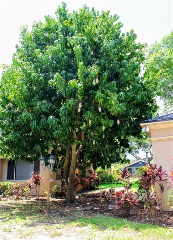 Building Photo - 5611 S Sherwood Ave