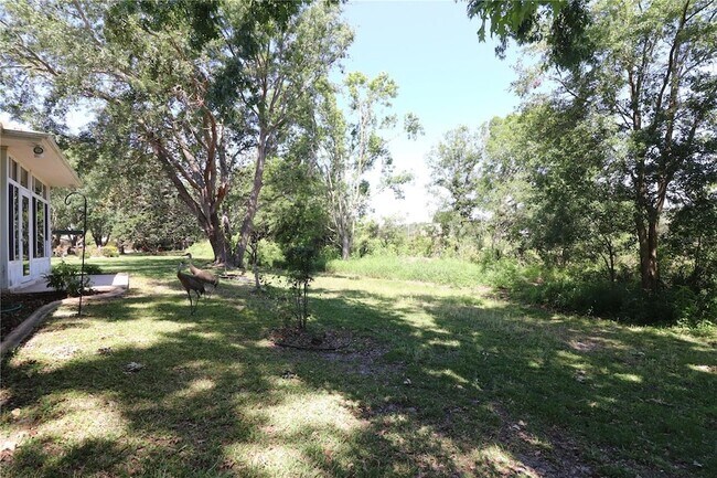 Building Photo - 5352 Royal Stuart Ct