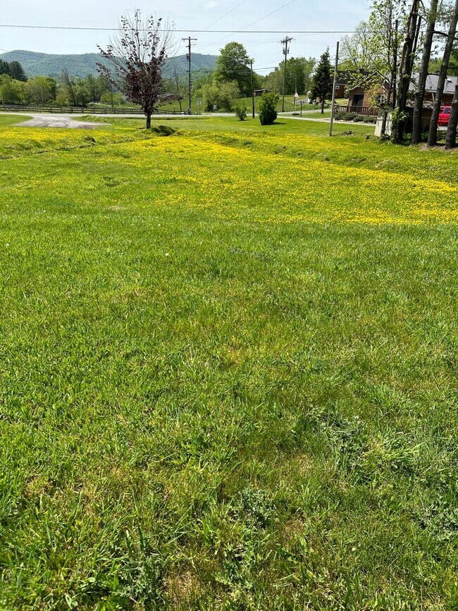 Building Photo - summe139