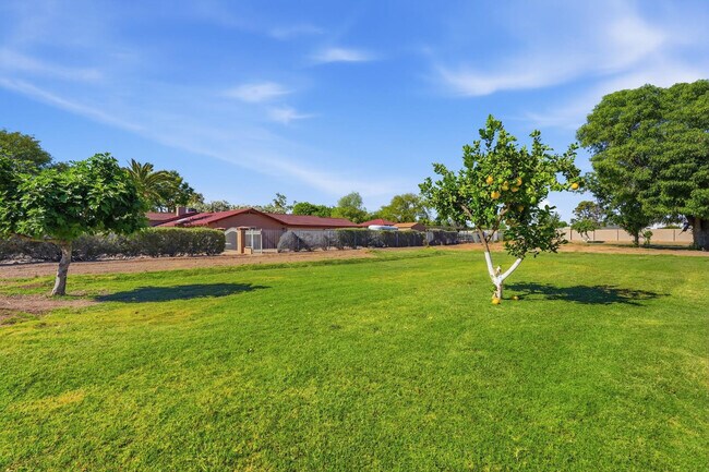 Building Photo - 1003 E Calle Monte Vista