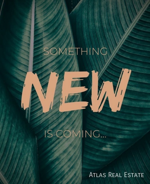 Primary Photo - 637 Loyalty Ct