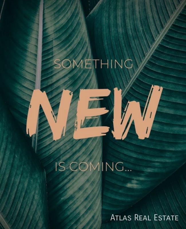 Building Photo - 637 Loyalty Ct