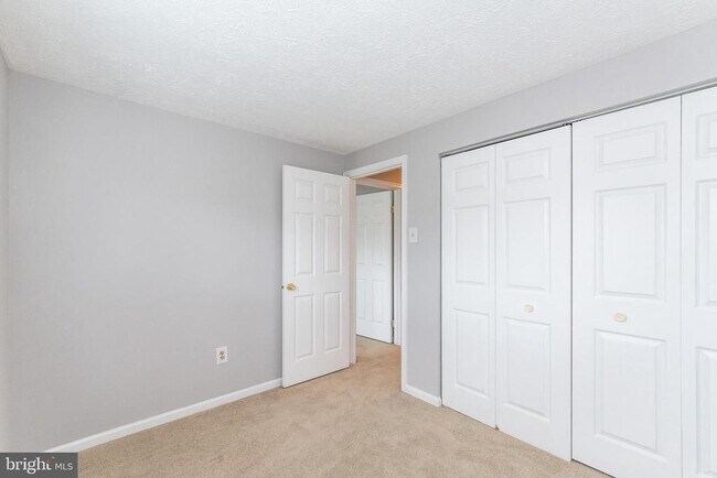 Building Photo - 3348 Raccoon Ct