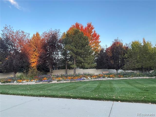 Building Photo - 66 Blue Heron Ln