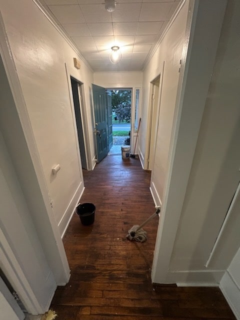 Hallway - 14 Perine St