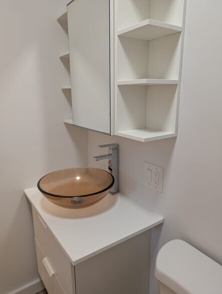 vessel sink and tall faucet - 40 Lyon St