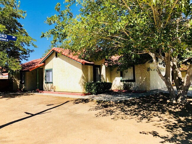 Primary Photo - 37007 Pond Ave