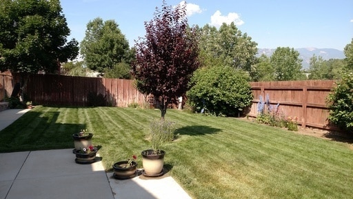 Building Photo - Spacious Open Floor Plan with Stunning Mou...