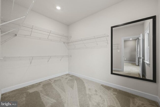 Building Photo - 7147 Starmount Ct