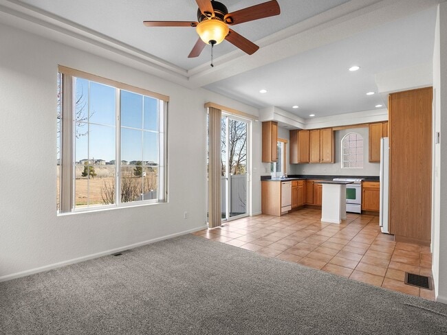 Building Photo - Gorgeous Johnstown Home with Attached Garage and Open Layout!