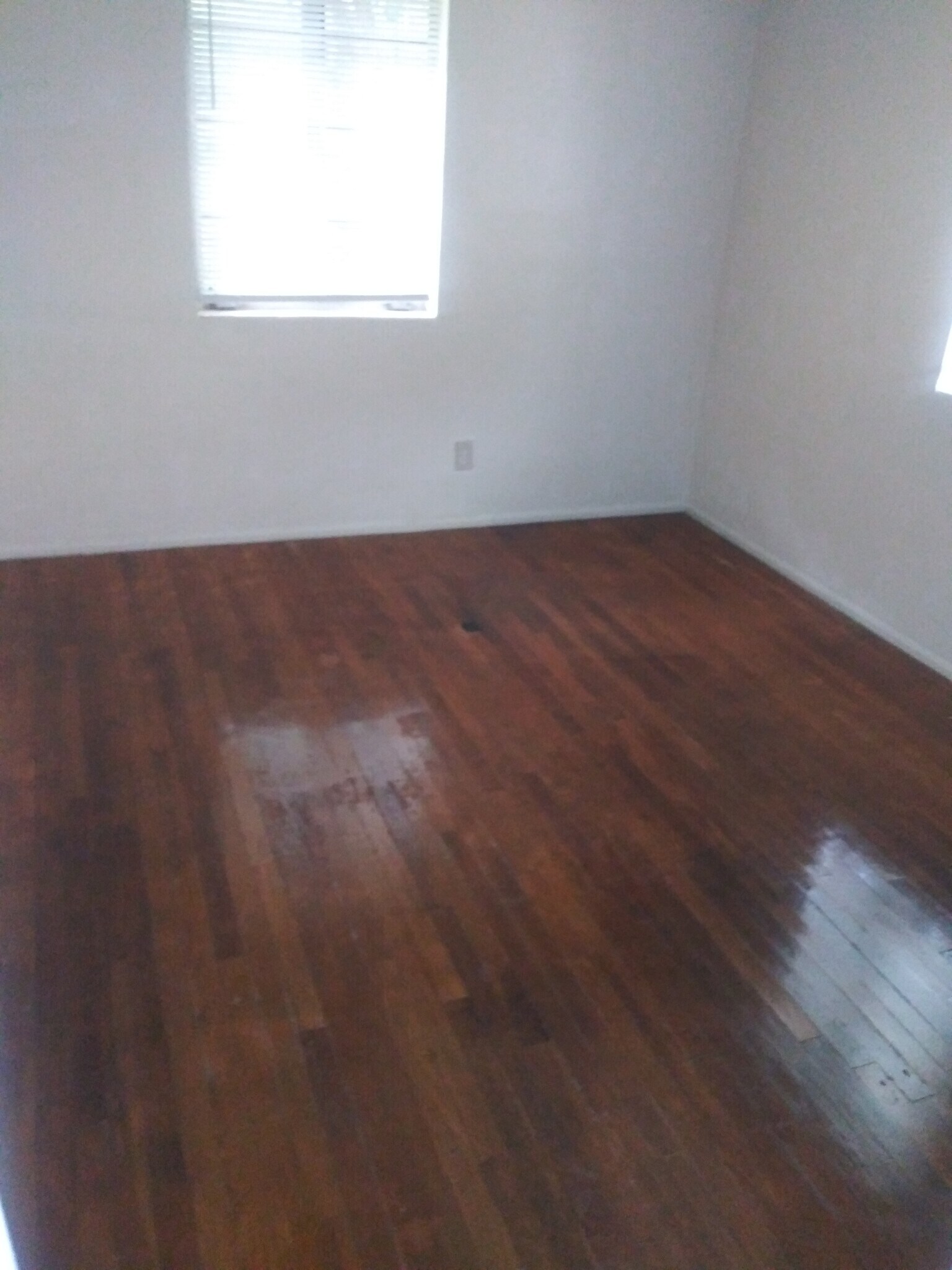 Building Photo - 2139 Spring Park Rd