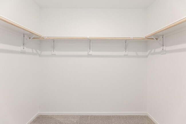 Building Photo - 3013 Blue Gem Ct