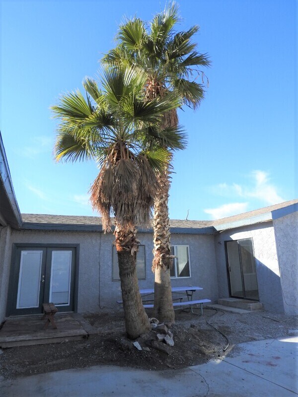 Building Photo - 2220 W Bell Vista Ave