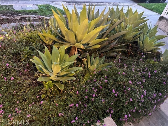 Building Photo - 1433 S Beverly Dr