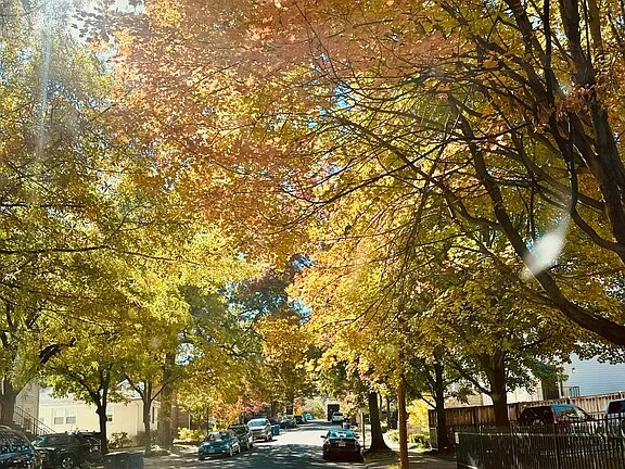 Building Photo - 3911 Elbert Ave