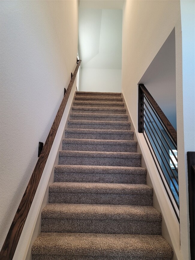 Building Photo - 3005 Fenchurch Elm Trl