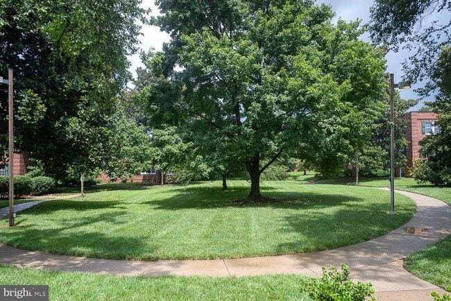Building Photo - 1721 Queens Ln
