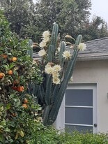 Building Photo - 2219 Glendon Ave