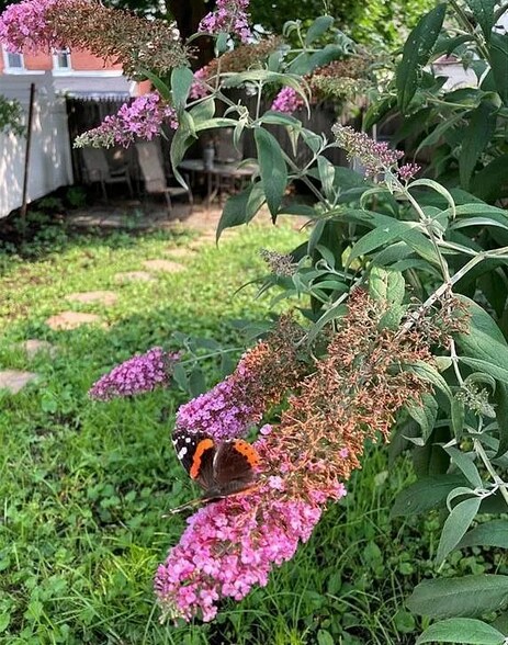 Building Photo - 227 E Garrison St