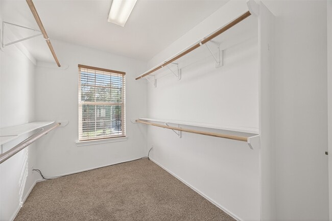 Building Photo - 2883 Lost Cove Ct