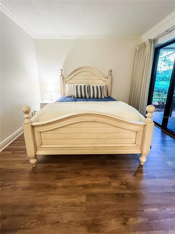 Building Photo - 36750 US Hwy 19 N