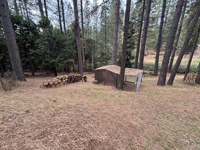 Building Photo - 3/2 on 3/4 acre lot near Holiday Market fo...