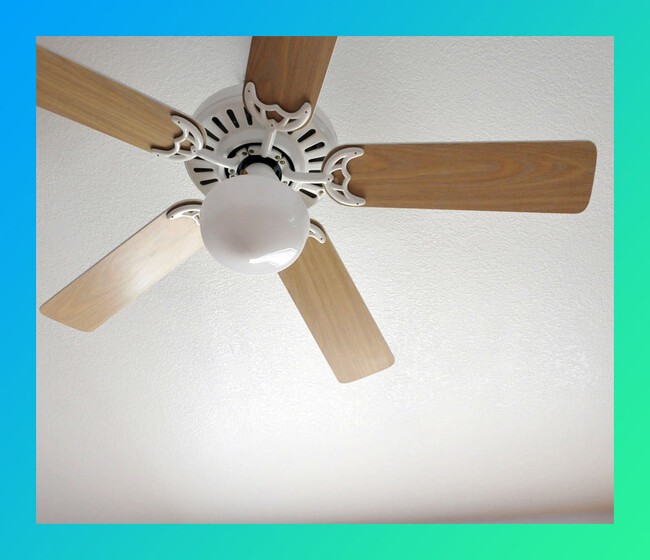 Two Large Ceiling Fans - 4360 Savoy Blvd