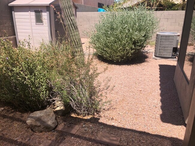 Building Photo - 3872 E Mountain Sky Ave