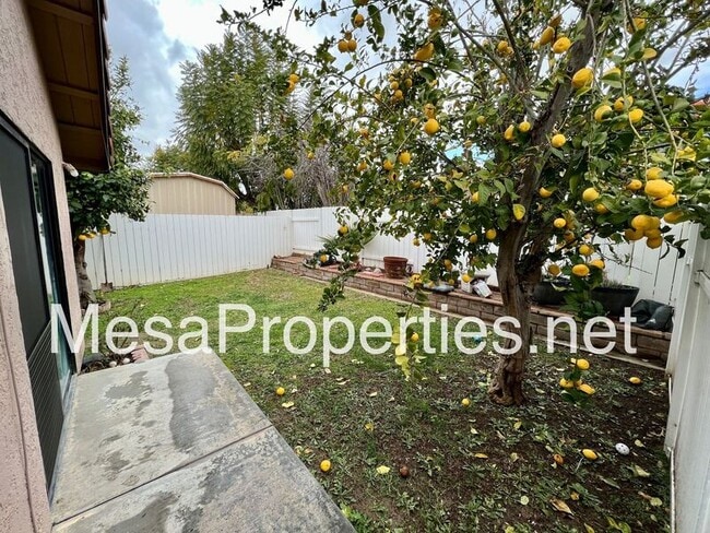 Building Photo - 3929 Rancho Del Oro Dr