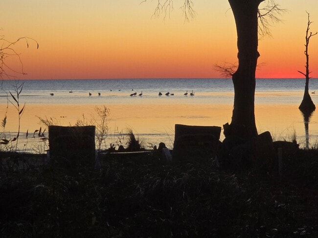 Building Photo - 2 Bedroom 1 Bath Home in Jarvisburg $1975/mo