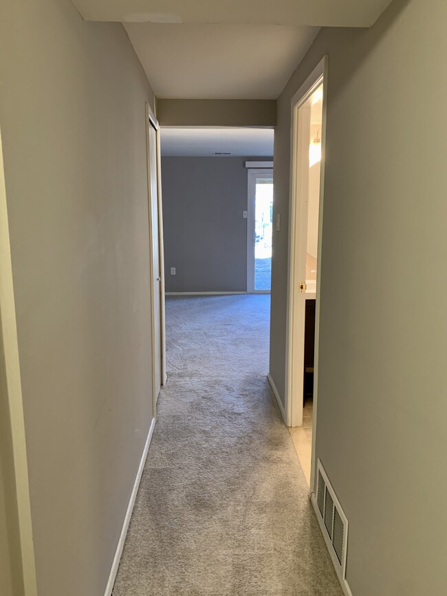 Basement Hallway - 7359 Hickory Log Cir