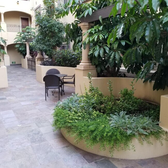 courtyard - 10950 Bloomfield St