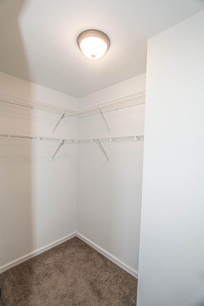 Building Photo - 479 Sebastian Dr