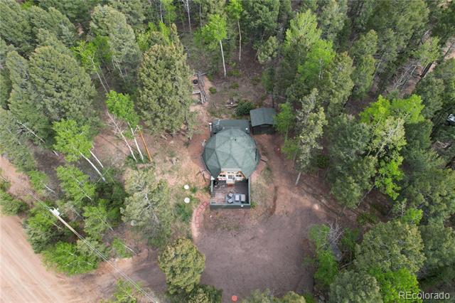 Building Photo - 776 Jolly Rogue Dr