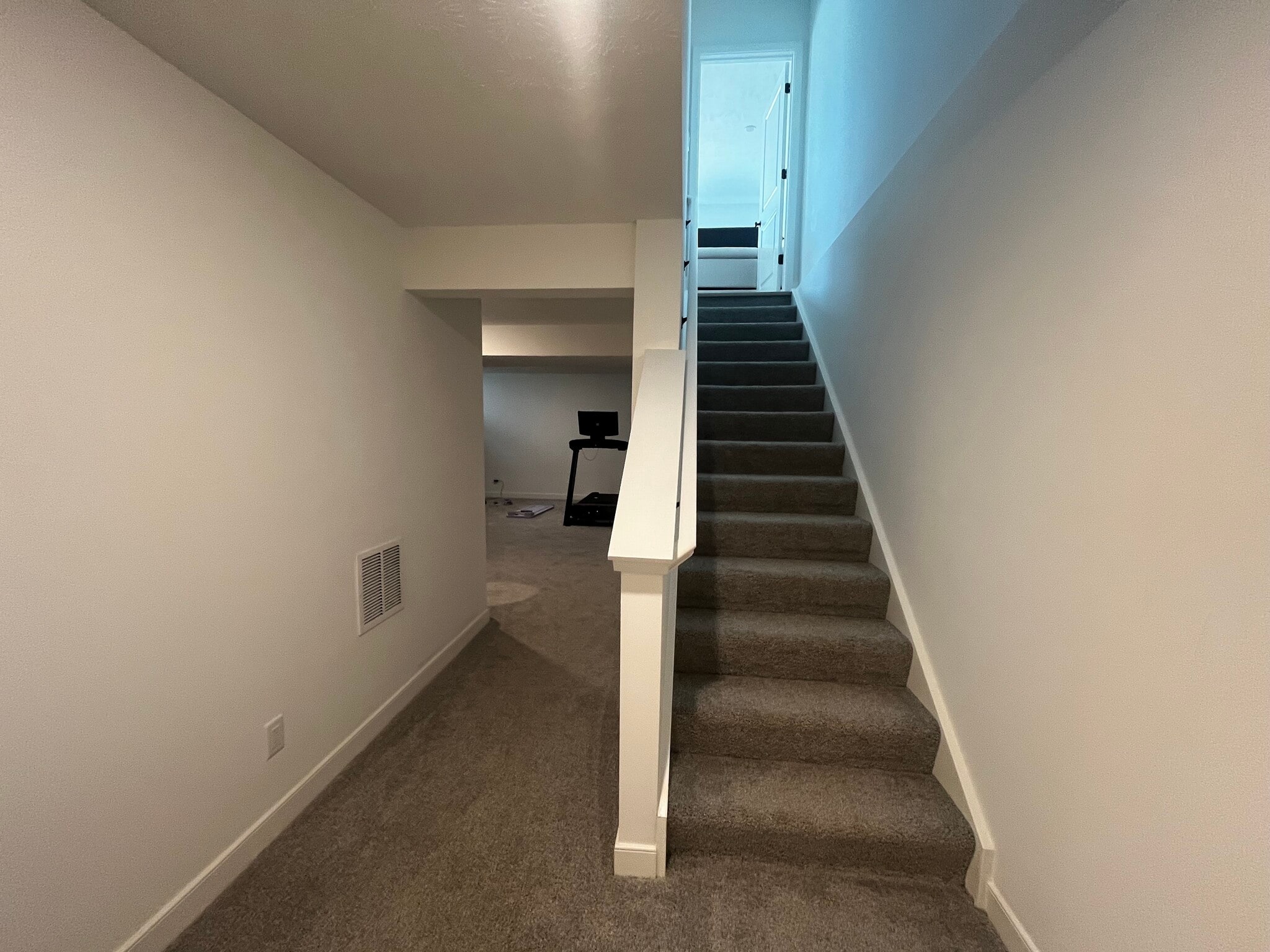 Basement - 362 Jonagold Dr NE