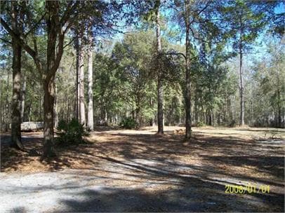 Building Photo - 214-1 S Magnolia Dr