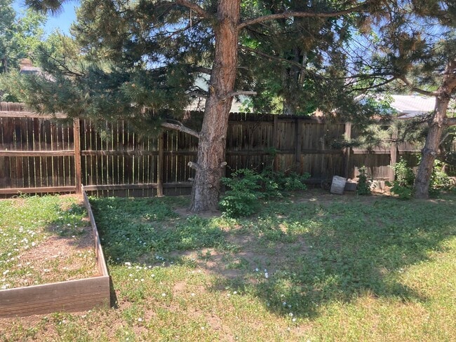 Building Photo - Huge 5BR, large yard, fireplace, big rooms...