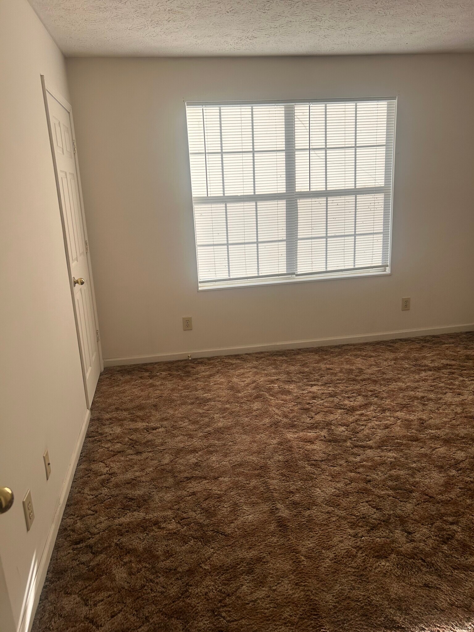 Building Photo - 244 Burkhardt Way