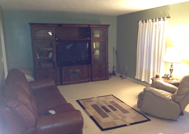 Family room - 207 Ashton Ct