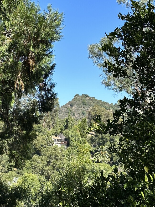 View from downstairs deck - 19876 Observation Dr