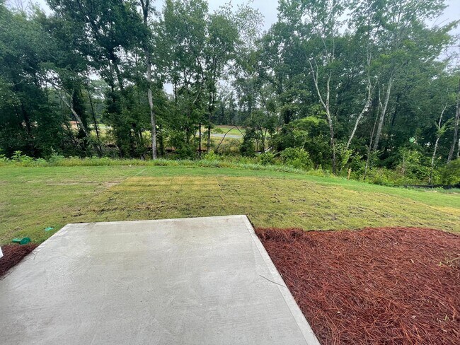 Building Photo - 347 Willowsford Dr